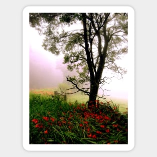 Foggy Roadside Red Sticker